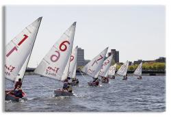 Sailboat Race