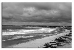 Coastal Maine Ocean 