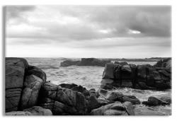 Maine's Rocky Coastline