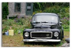 Antique Car Backyard Garden Scene