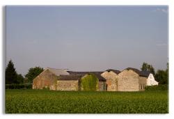 Farmland in Southern France