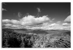 Rolling Hills