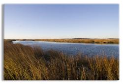 Estuary