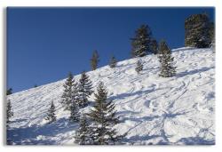 The Greatest Snow on Earth