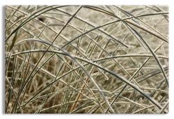 Beach Grass Wall Decoration