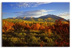 Colorado  Mountains Fall Foliage
