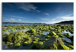 Brittany Seascape 