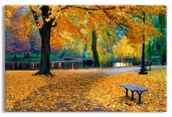 Boston Public Garden