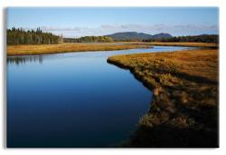 Marshall Brook, Acadia National Park