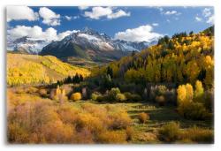 Colorado Fall Foliage