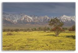Eastern Sierra Mountains