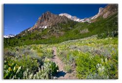 John Muir Trail