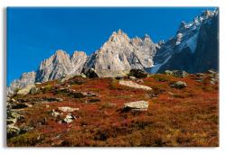 Near Mont Blanc in the Summertime