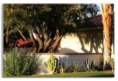 Xeriscape
