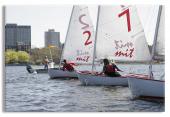 Sailboats Racing on the Charles River Boston