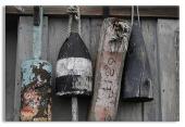 Fisherman's Buoys on Wooden Shack