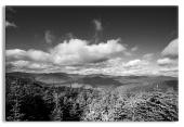 Rolling Hills