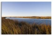 Estuary