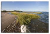Cape Cod Shoreline