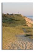 Cape Cod Sand Dunes Art