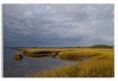 Tidal Estuary 