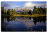 Tetons at Schwabackers Landing