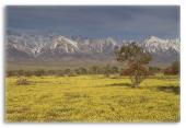 Eastern Sierra Mountains Eastern Sierra Mountains