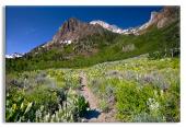 John Muir Trail