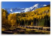 Fall Colorado Landscape Fall Colorado Landscape