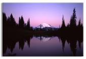 Mt. Rainier reflecting in Tipsoo Lake