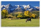 Horse Grazing in a Colorado Landscape
